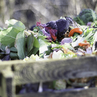 choses à composter